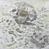 Ringed Plover Distraction