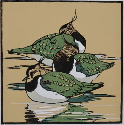 Autumn Lapwings
