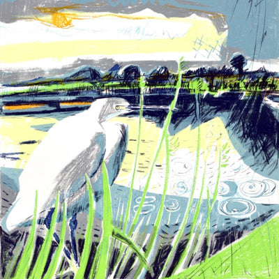 Little Egret in the Shallows