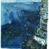 Kittiwake Sea