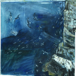 Kittiwake Sea