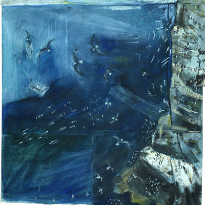 Kittiwake Sea