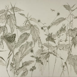 Drawn from Nature sketching workshop