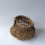 Linden II by Anna Corbett