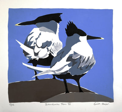 Sandwich Terns II