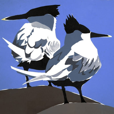 Sandwich Terns II