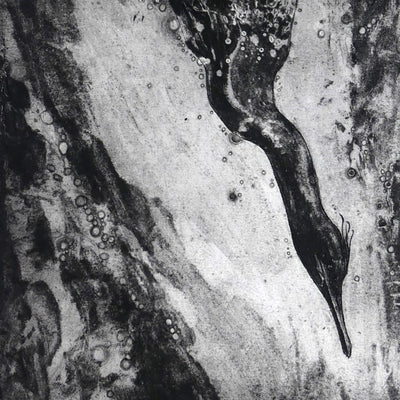 Plunge II