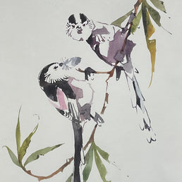 Long-Tailed Tit pair on Willow