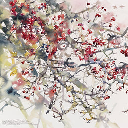 Long-tailed Tits In Hawthorn