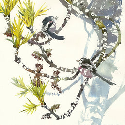 Long-tailed Tits At Nest