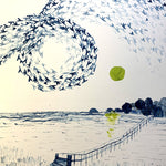 Murmuration over Aberlady Bay by Eilidh Muldoon