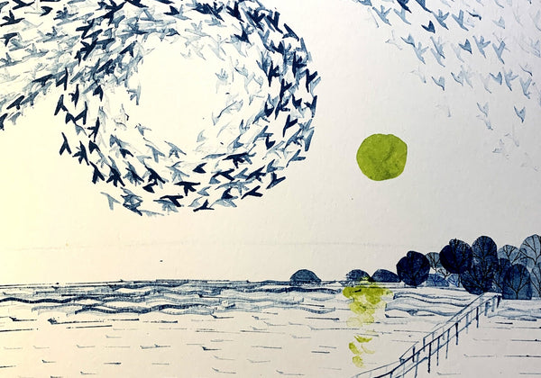 Murmuration over Aberlady Bay by Eilidh Muldoon