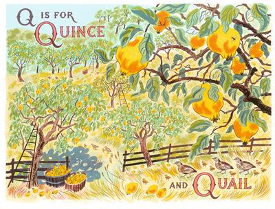 Q is for Quince