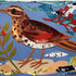 Redwing 2 SOLD