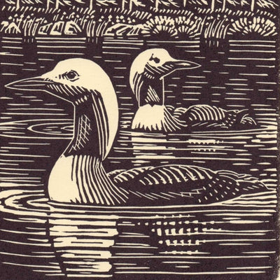 Black-throated Divers