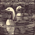 Black-throated Divers