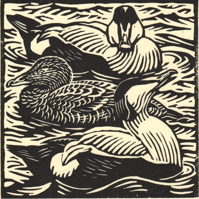 Eiders