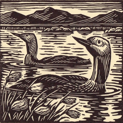 Red-throated Divers