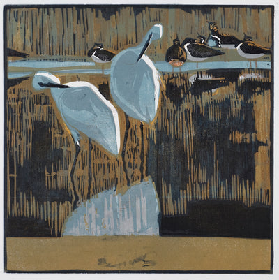 Little Egrets