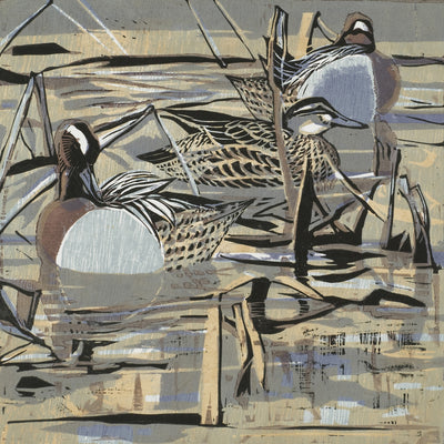 Garganey