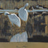 Little Egrets
