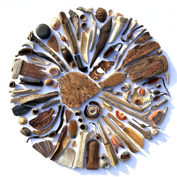 Rust and Bones