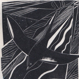 Swallow
