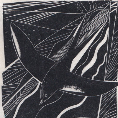 Swallow