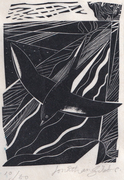 Swallow