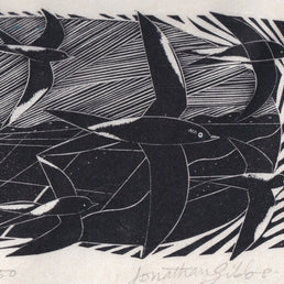 Swifts