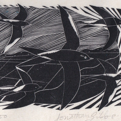 Swifts