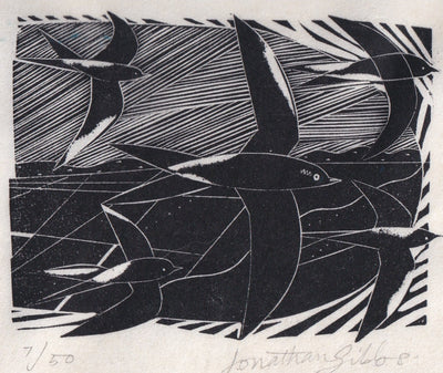 Swifts