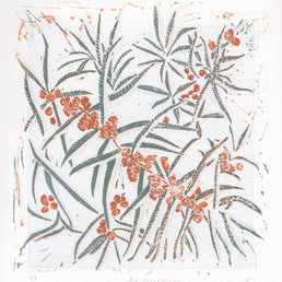 Seabuckthorn