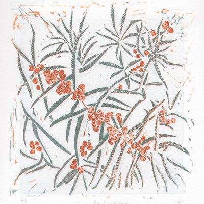 Seabuckthorn
