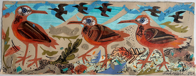 Shore Birds