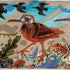 Shore Birds