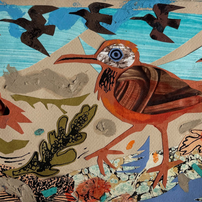 Shore Birds