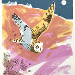 Short-eared Owl, North Uist by Jane Smith