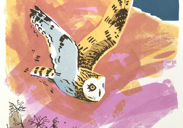 Short-eared Owl, North Uist by Jane Smith