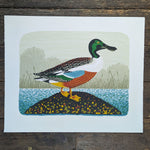 Shoveler Screenprint by Tom Frost