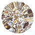 Starfish , Scallops and Sea Plastic 