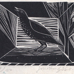 Small Thrush
