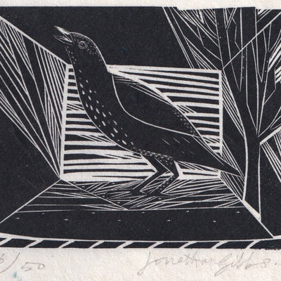 Small Thrush (Copy)
