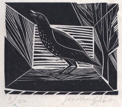 Small Thrush (Copy)
