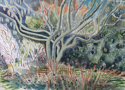 The Back Garden