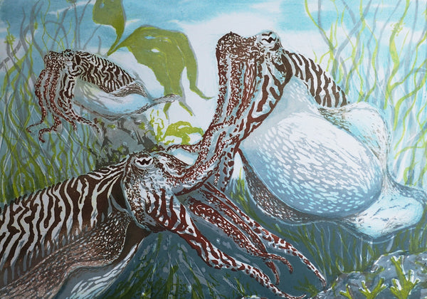 Louise Scammell - The Cunning Cuttlefish