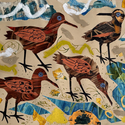 Wader Flock