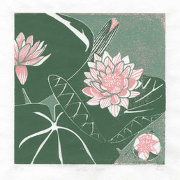 Waterlilies