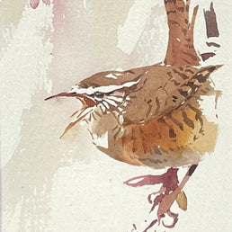 Wren singing from Viburnum branch SOLD