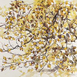 Yellow-browed Warbler In Autumn Birch